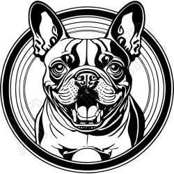 T-Shirt Bouledogue français - pour femme