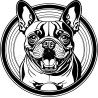 T-Shirt Bouledogue français - pour femme