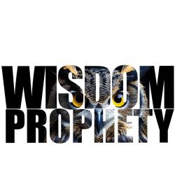 T-shirt Wisdom Prophety | Atypics