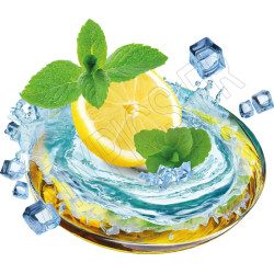 T Shirt Mojito- pour femme