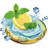 T Shirt Mojito- pour femme