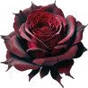 T Shirt rose gothique coeur- pour femme